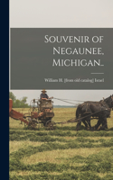 Souvenir of Negaunee, Michigan..