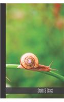 Snails & Grass