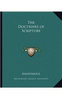 The Doctrines of Scripture: (English)