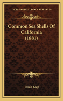 Common Sea Shells Of California (1881)