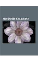 Groupe de Grindcore: Napalm Death, Doom, Anal Cunt, Mesrine, Carcass, Dying Fetus, Gronibard, Ultra Vomit, Extreme Noise Terror, Last Days
