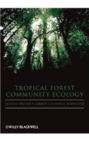 Tropical Forest Community Ecology