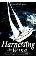 Harnessing the Wind