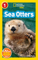 Sea Otters: Sea Otters