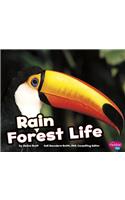 Rain Forest Life