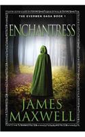 Enchantress: (1 The Evermen Saga)