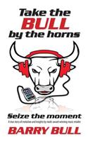Take the Bull by the Horns: Seize the moment A true story of evolution and insights by mult-award winning music retailer