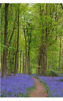 A Path Through the Bluebells in Spring Journal: 150 Page Lined Notebook/Diary