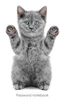 Password Notebook: Internet Address and Password Logbook / Journal / Diary - Playful Kitten