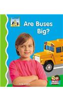 Are Buses Big?