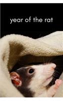 Year of the Rat 2020 Journal - Chinese New Year 2020 Celebration