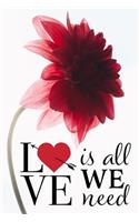 Love is all We Need
