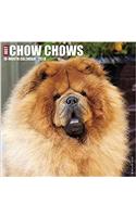 Just Chow Chows 2018 Wall Calendar (Dog Breed Calendar)