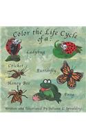 Color the Life Cycle of a Ladybug, Cricket, Butterfly, Honey Bee, and a Frog