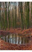 Small After the Rain Pond in a Forest Journal