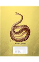 Snake Boa Constrictor Graph Paper Composition Book: 5x5 Graph Ruled Notebook, 200 sheets, 100 pages