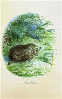 Hedgehog