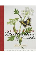 Stumpwork Butterflies & Moths