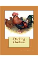 Dorking Chickens