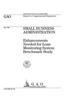 Small Business Administration: Enhancements Needed for Loan Monitoring System Benchmark Study