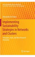 Implementing Sustainability Strategies in Networks and Clusters: Principles, Tools, and New Research Outcomes(CSR, Sustainability, Ethics & Governance)