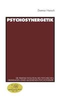 Psychosynergetik: Die fraktale Evolution des Psychischen. Grundlagen einer Allgemeinen Psychotherapie(German)