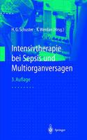 Intensivtherapie Bei Sepsis Und Multiorganversagen