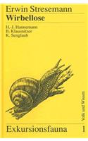 Wirbellose (Ohne Insekten)