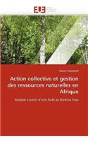 Action collective et gestion des ressources naturelles en afrique