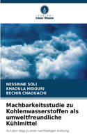Machbarkeitsstudie zu Kohlenwasserstoffen als umweltfreundliche Kühlmittel