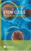 Stem Cells: From Hype to Hope