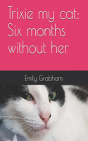 Trixie my cat: Six months without her(1 Trixie: Six Months Without Her)