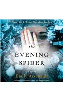 The Evening Spider