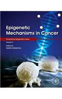 Epigenetic Mechanisms in Cancer