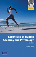 Essentials of Human Anatomy & Physiology