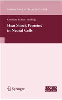 Heat Shock Proteins in Neural Cells