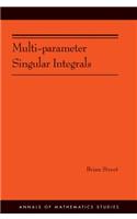 Multi-parameter Singular Integrals, Volume I