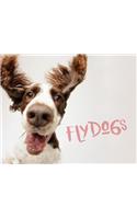 Flydogs