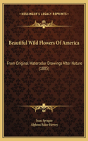 Beautiful Wild Flowers Of America