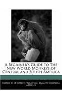 A Beginner's Guide to the New World Monkeys of Central and South America