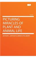 Picturing Miracles of Plant and Animal Life