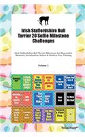 Irish Staffordshire Bull Terrier 20 Selfie Milestone Challenges Irish Staffordshire Bull Terrier Milestones for Memorable Moments, Socialization, Indoor & Outdoor Fun, Training Volume 3