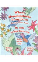 Where Hummingbirds Come From Bilingual Portuguese English