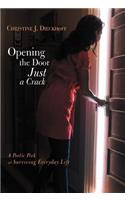 Opening the Door Just a Crack