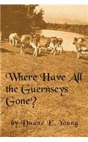 Where Have All The Guernseys Gone?"