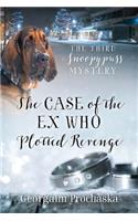 The Case of the Ex Who Plotted Revenge