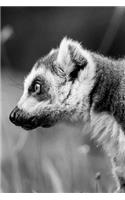 Mind Blowing Lemur Black And White Journal: 150 page lined journal
