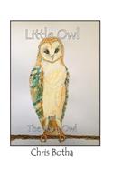 Little Owl and the Barn Owl