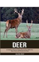 Deer