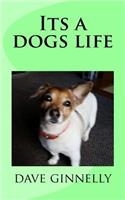 Its a Dogs Life